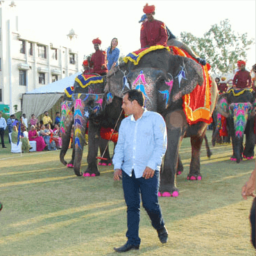 elephantfun team in jaipur