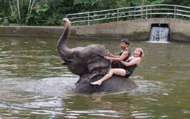 elephant bathing in jaipur