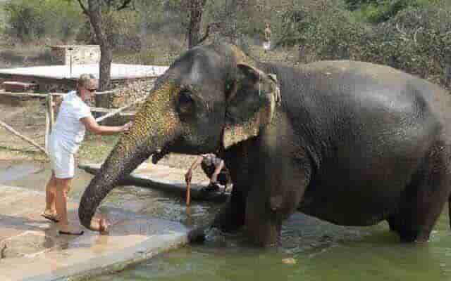 bathing with elephants in jaipur