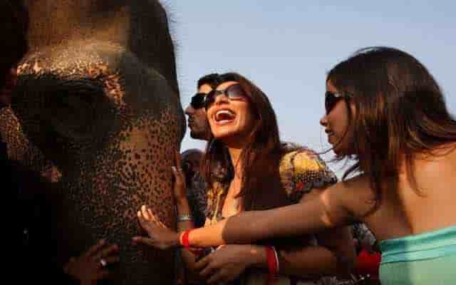 enjoy with elephant in jaipur