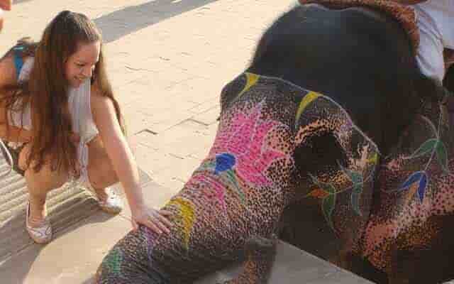 enjoy with elephants in jaipur