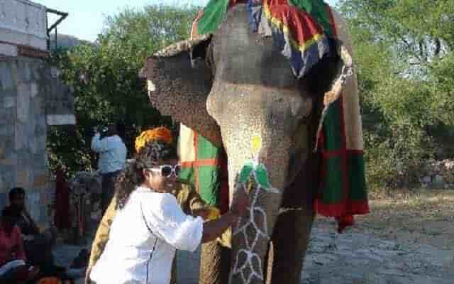 elephant painting in jaipur