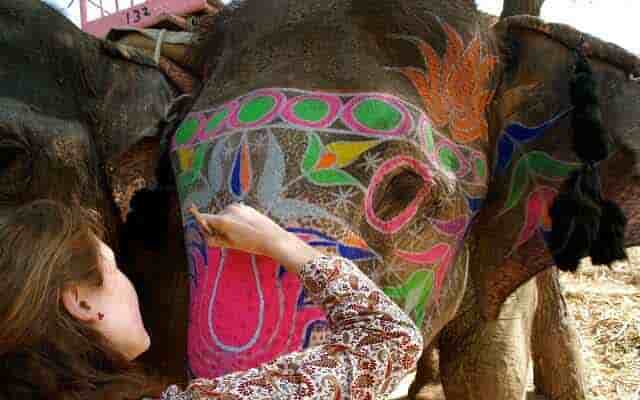 elephant painting in jaipur