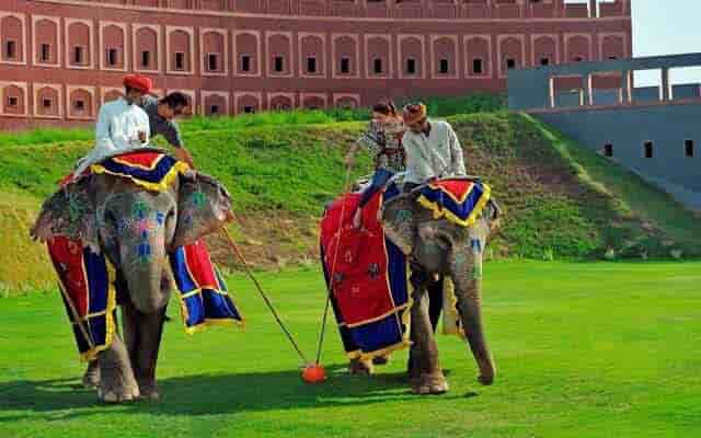 elephant polo in jaipur