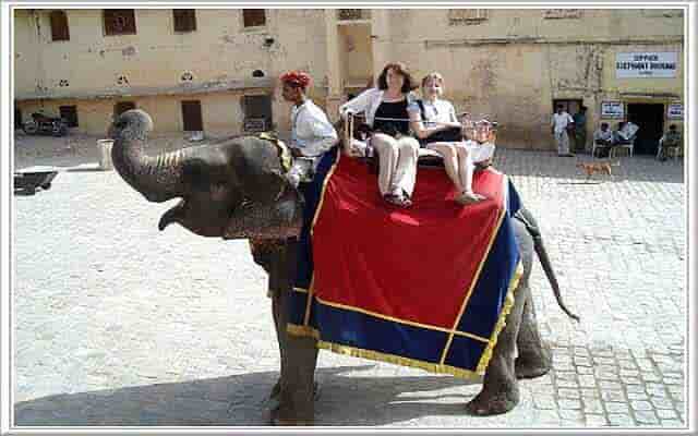 elephant ride in jaipur