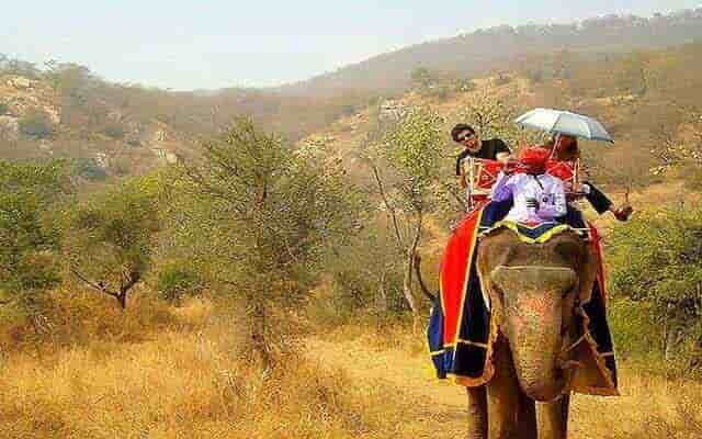 elephant safari in jaipur