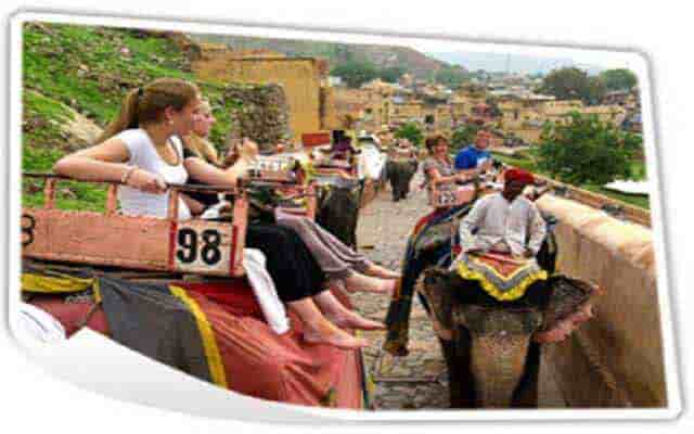 elephant safari in jaipur