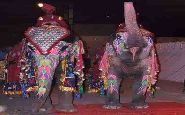 elephants for wedding at jaipur