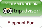 tripadvisor