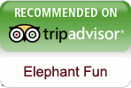 Elephant Fun — recommended on TripAdvisor